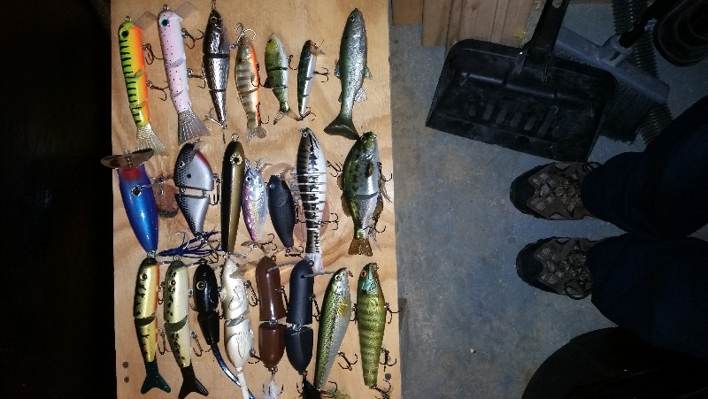 Swimbait's 