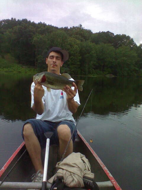 Buzz Bait Bass