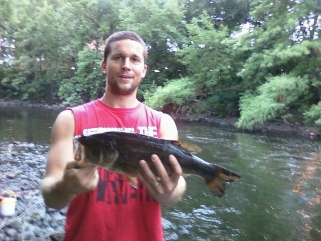 Summer Bass