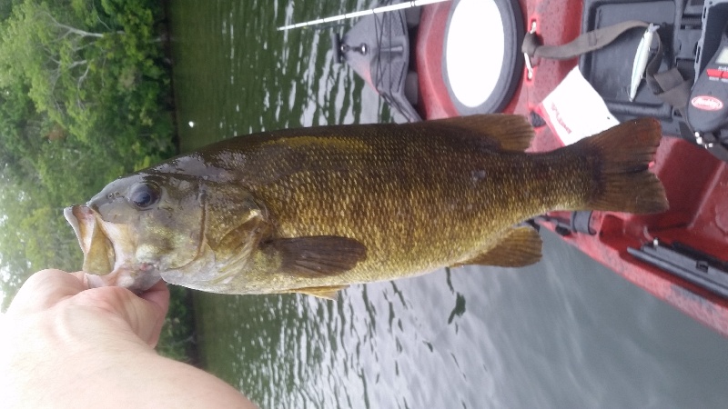 4 lb smallie