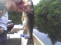 great lake fishing