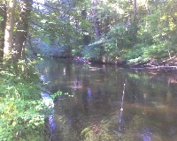 Kendell Brook at 10/202