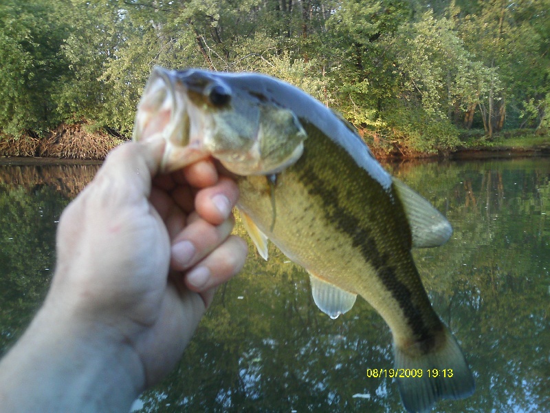 CT River LMB