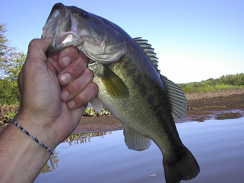 CT River LMB 3