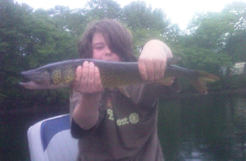 3 lb pickerel