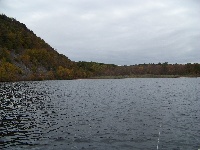 Black Pond 