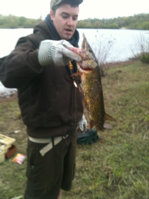 Big Pickerel