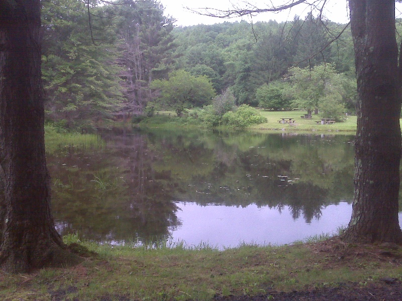 pond 2